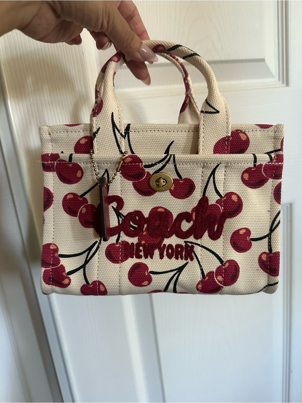 Coach small cargo tote